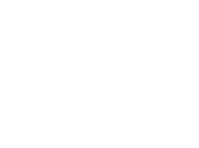logo trasp bianco