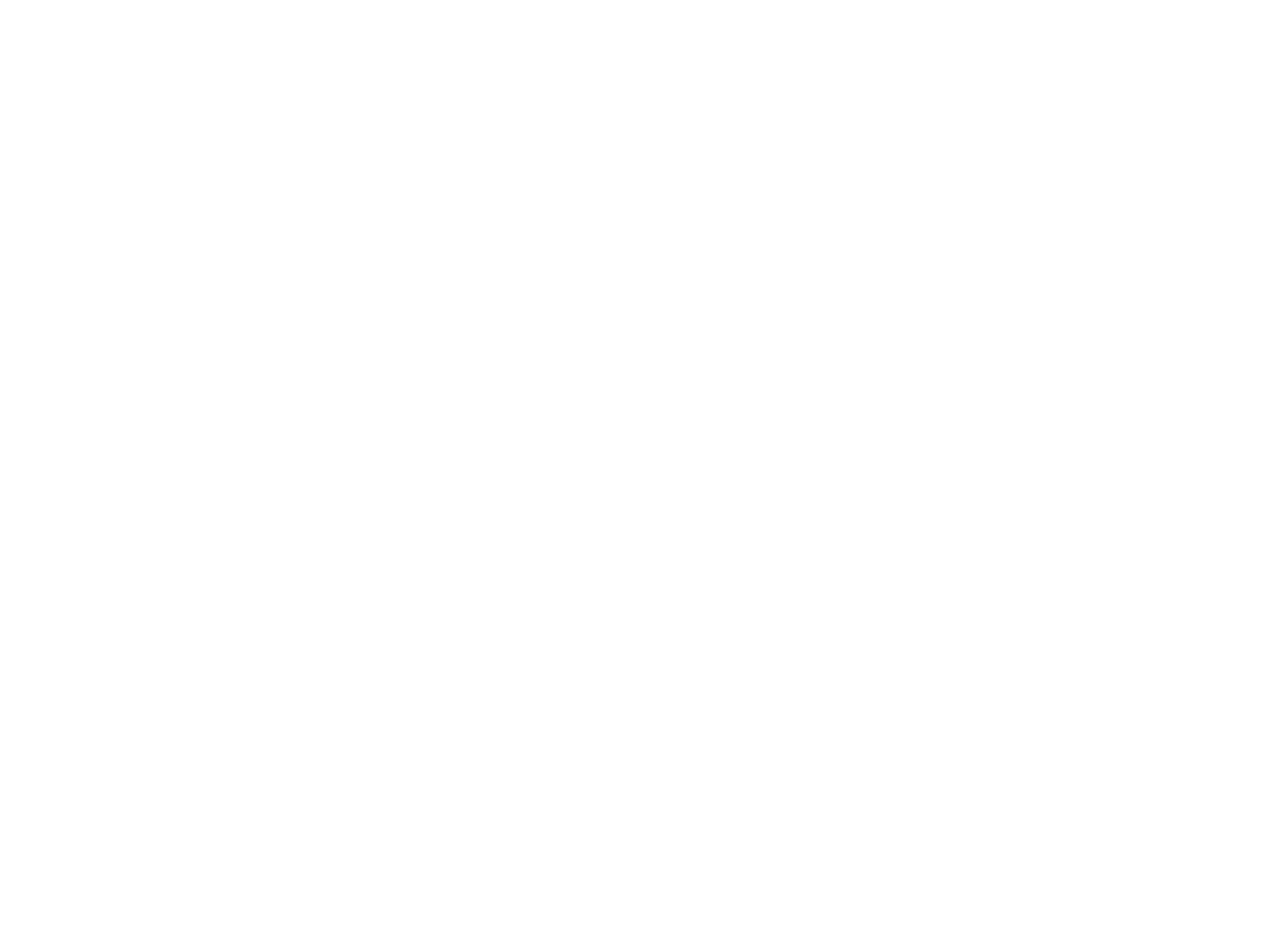 logo trasp bianco